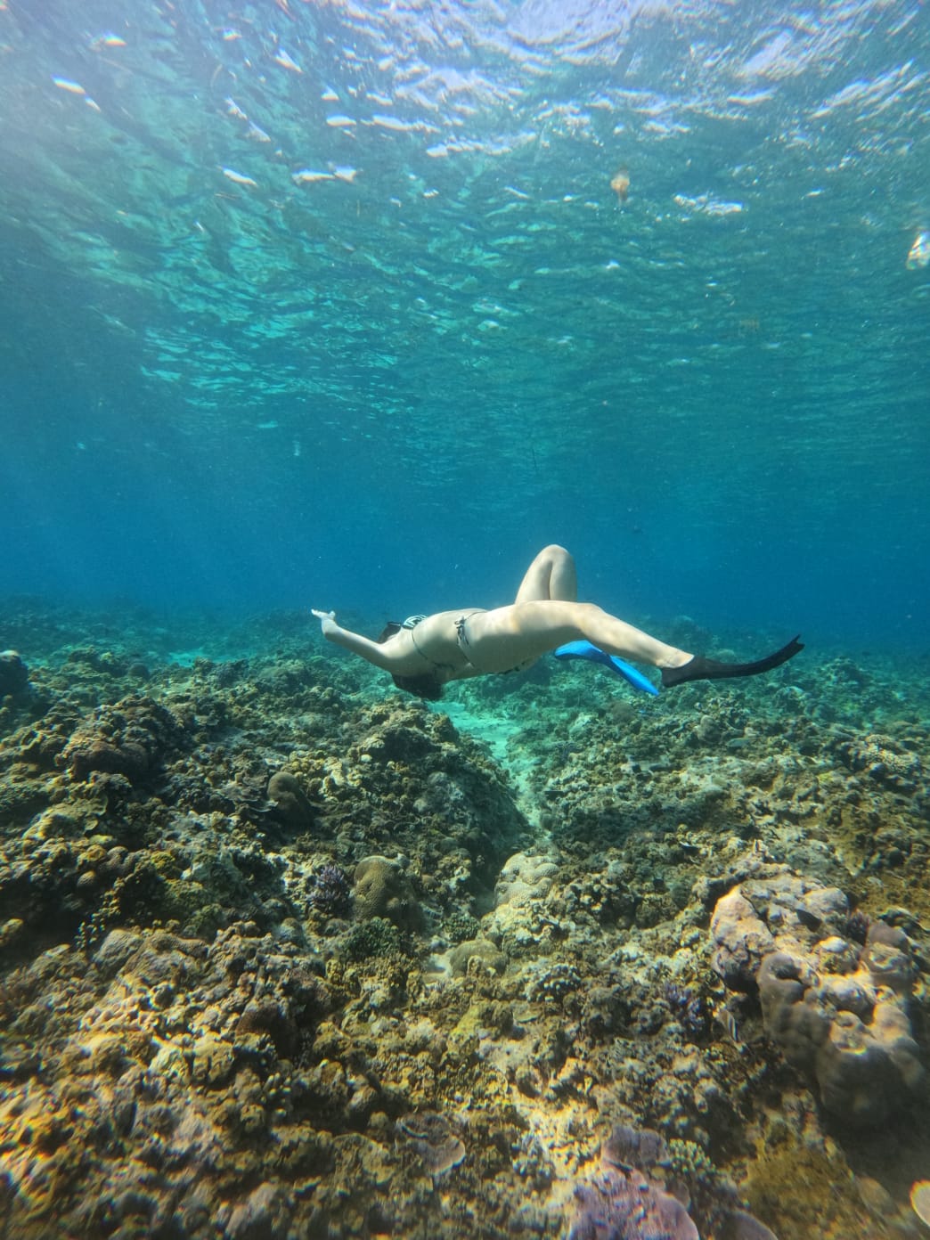 Made — GiliGoTrip Snorkeling guide — Gili Trawangan