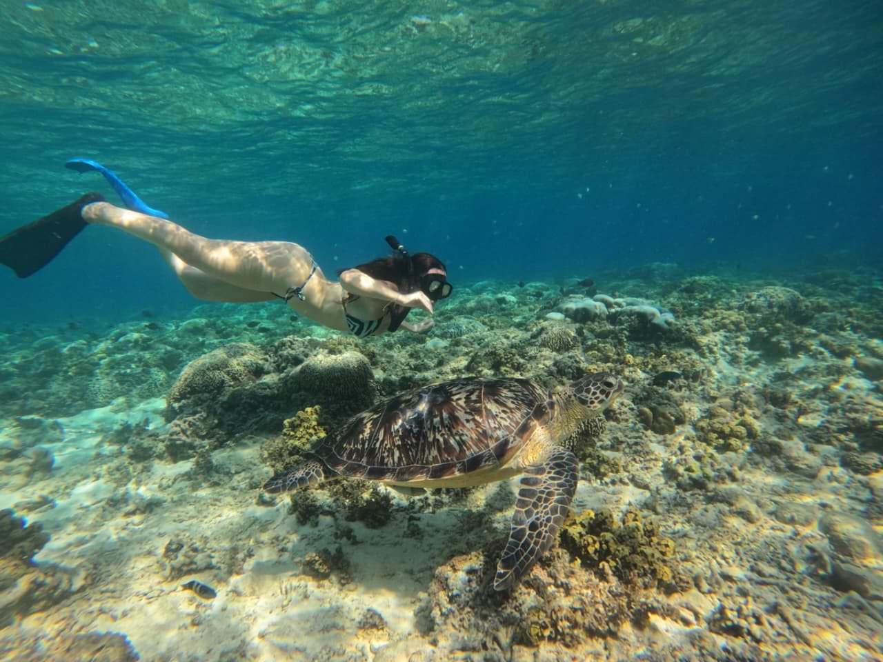 Three Islands Tour · 4h — Gili Trawangan — GiliGoTrip Snorkeling