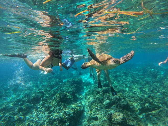 Anwar — GiliGoTrip Snorkeling guide — Gili Trawangan
